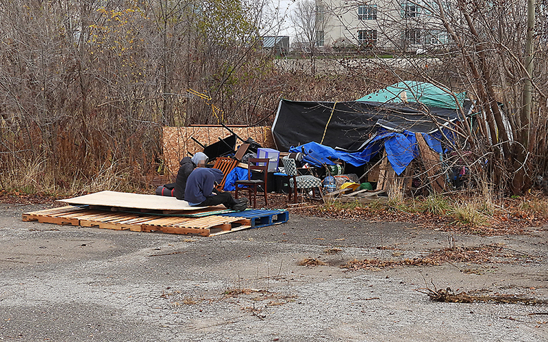 November 21, 2024 - Bradford St. abandoned lot.